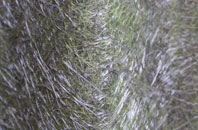 Garndolbenmaen fibreglass roof work